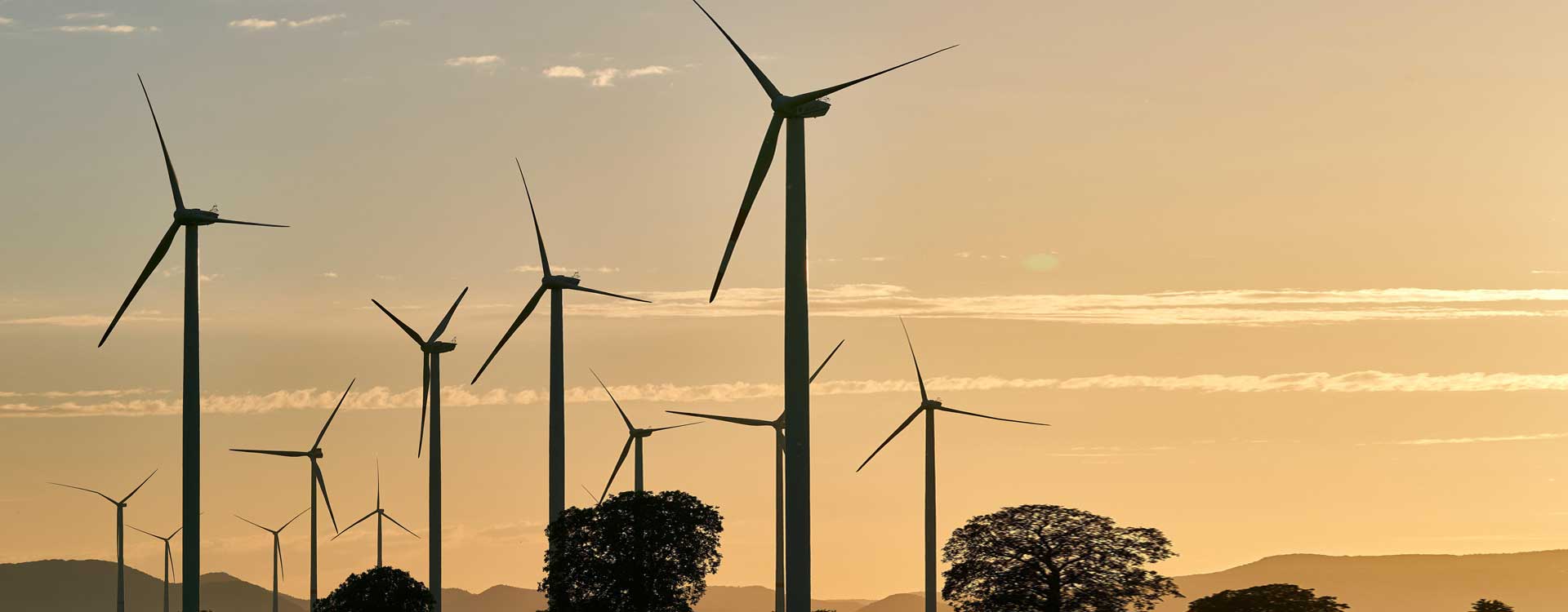 Windpark Windpark