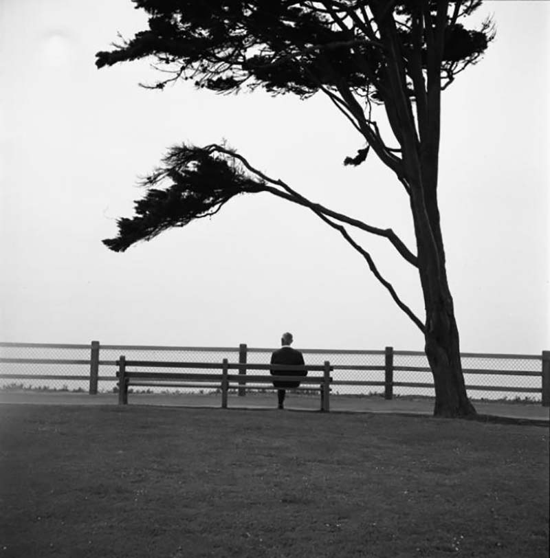 Foto Untitled 1960 ┬® Vivian Maier Estate