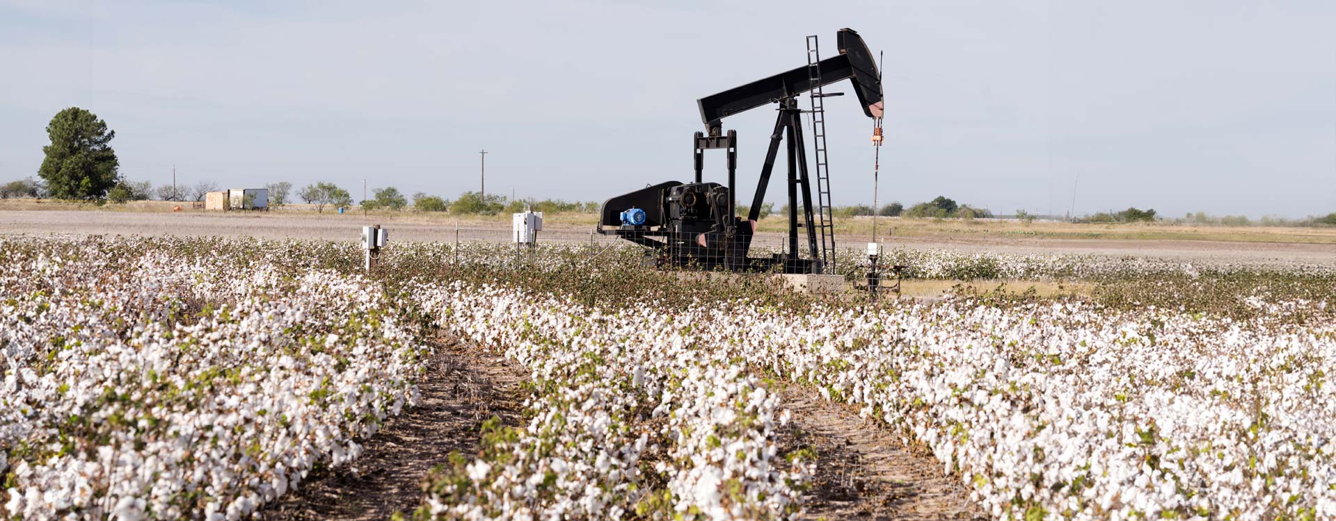 Texas Pacific Land